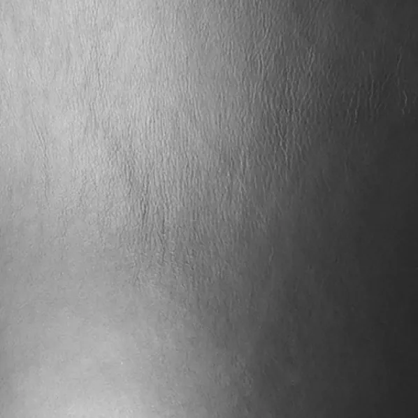 About a Chair AAC23 Stol Läder