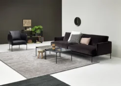 Baron Soffa