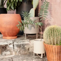 Bau Pot Small
