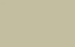 Colour By Nature – No. W9 Ash Grey