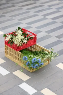 Colour Crate Small