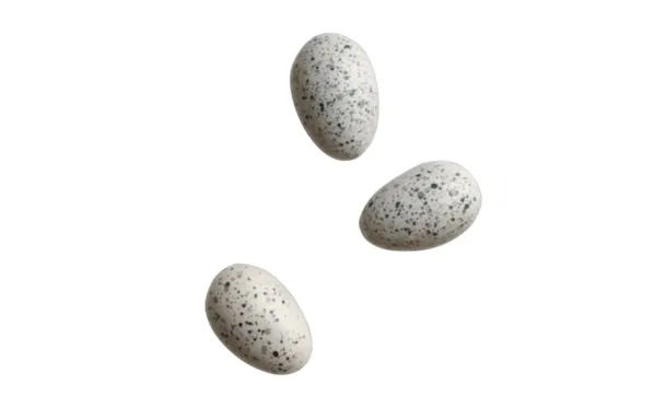 Deco Egg Dekorationsägg