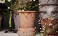 Elizabeth Kruka 16cm Rosa