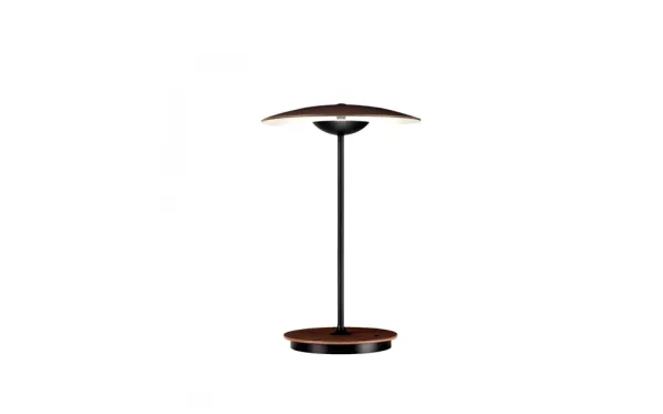 Ginger 20 M Bordslampa