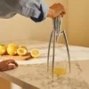 Juicy Salif Citruspress