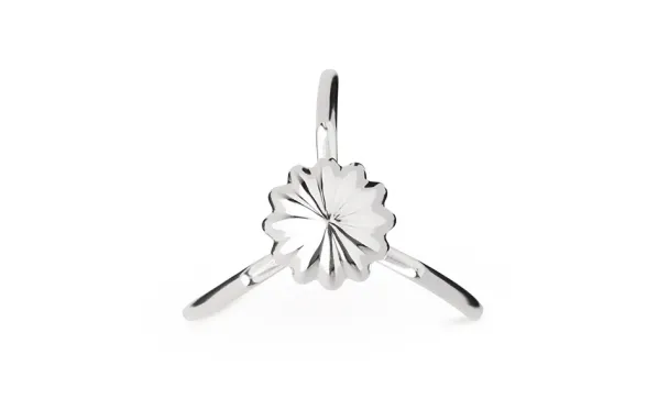 Juicy Salif Citruspress