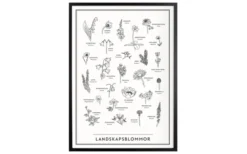 Landskapsblommor Affisch
