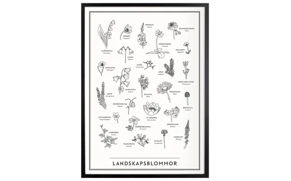 Landskapsblommor Affisch