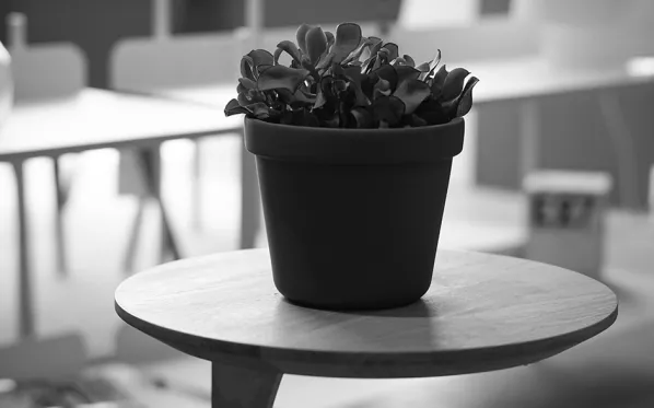Minibord Casper