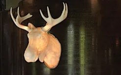 Moo Vägglampa