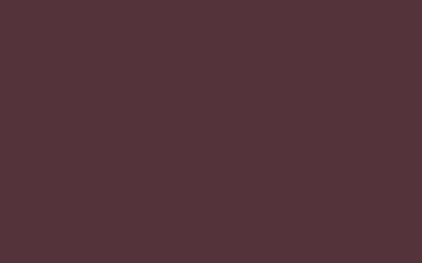 No. 222 Brinjal