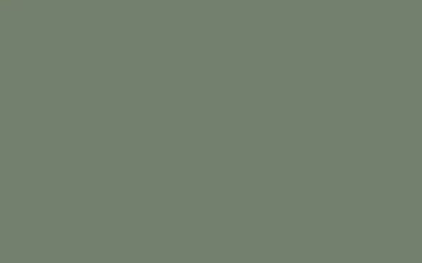 No. 79 Card Room Green