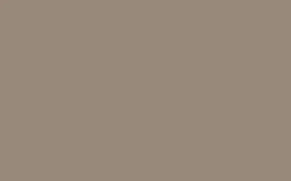 No. 243 Charleston Gray