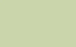 No. 32 Cooking Apple Green