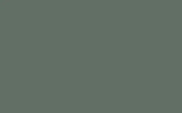 No. 47 Green Smoke