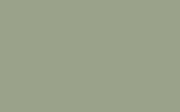 No. 19 Lichen