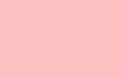 No. 278 Nancy’s Blushes