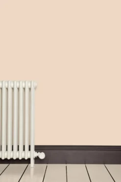 No. 231 Setting Plaster