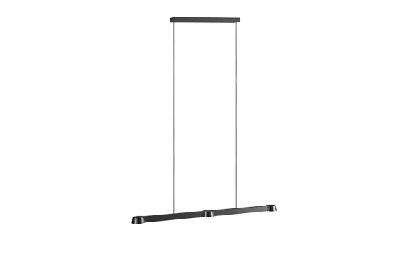 Optic Linear Pendel
