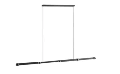 Optic Linear Pendel