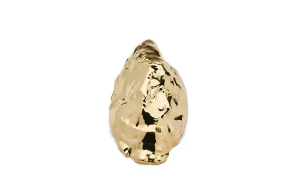 Oyster Flasköppnare
