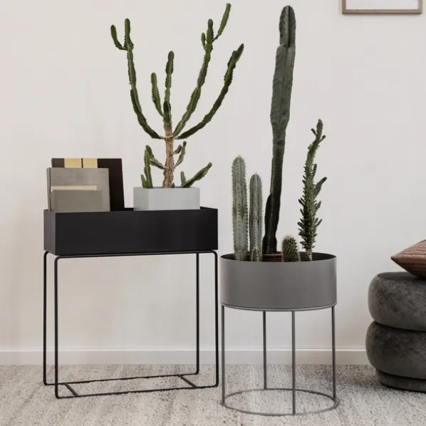 Plant Box