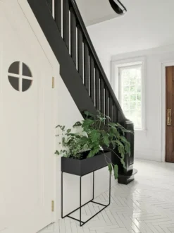 Plant Box
