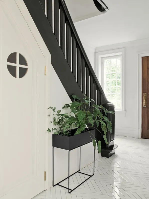 Plant Box