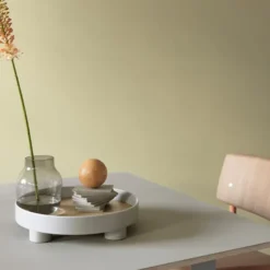 Platform Tray