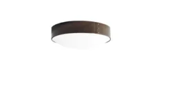 Svep Plafond Liten